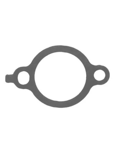 Yamaha YZF-R1 04-08, FZ8, FZ1 06- прокладка натяжителя цепи грм 2D1-12213-00-00 CHAKIN 000y-045