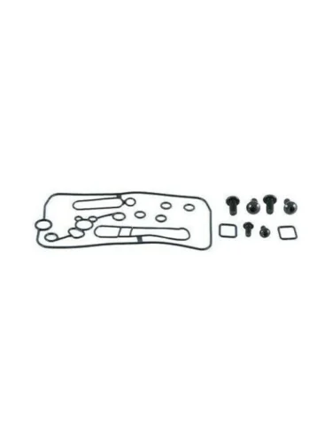 Ремкомплект карбюратора ALL BALLS Honda CRF450R 02-06450X 05-06, CRF250R 04-06250X 04-07 (26-1510) AllBalls 26-1510