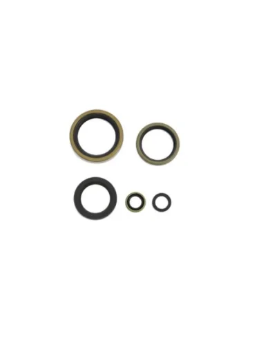 Комплект сальников двигателя Athena Harley-Davidson XL883 86-90 Athena p400195400700