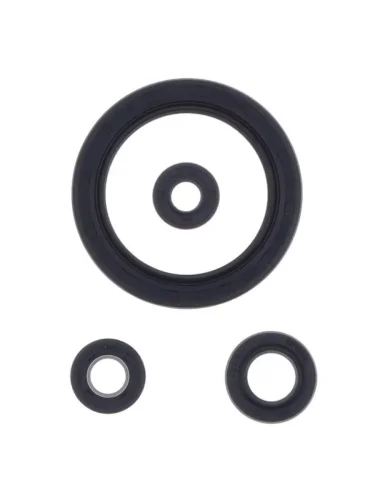 Комплект сальников двигателя Athena Honda CB1000 94-99, CBR1000FFP 87-99    Athena p400210400952