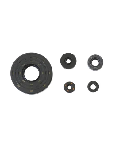 Комплект сальников двигателя ATHENA Honda VT1100 94-18 Athena p400210400970