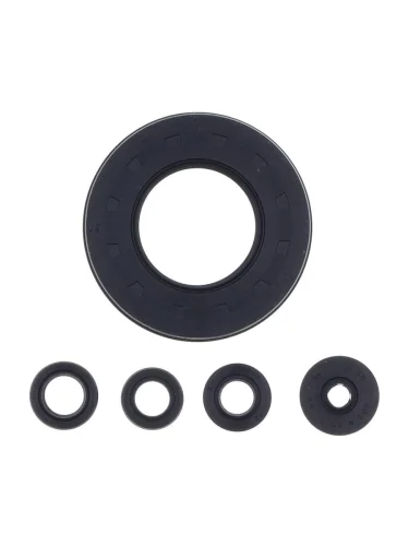 Комплект сальников двигателя ATHENA Honda XL1000 99-11 Athena p400210400060