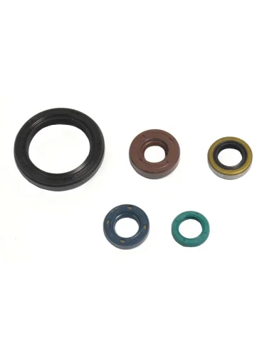 Комплект сальников двигателя ATHENA Kawasaki KLX250 09-12,KLX250S 07-12 Athena p400250400049