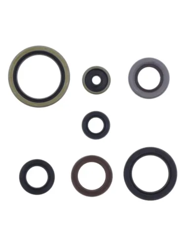 Комплект сальников двигателя Athena KTM SX250,EXC300 17-22 Athena p400270400083