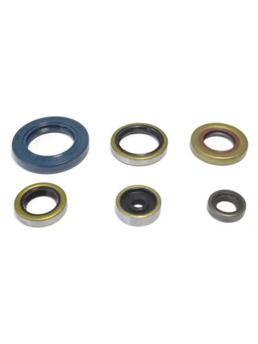 Комплект сальников двигателя Athena KTM SX65 09-23, TC65 17-23, MC65 20-23 Athena p400270400047