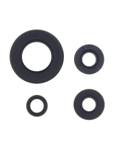 Комплект сальников двигателя ATHENA XL650 00-06 Athena p400210400061