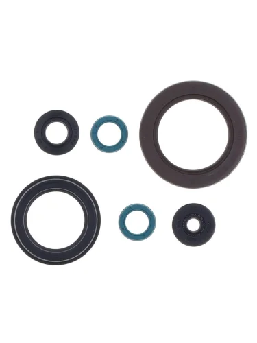 Комплект сальников двигателя ATHENA Yamaha FZS600 98-03 Athena p400485400111