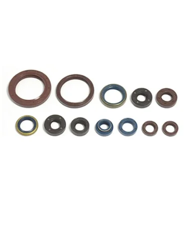 Комплект сальников двигателя ATHENA Yamaha MAJESTY YP250 96-03 Athena p400485400249