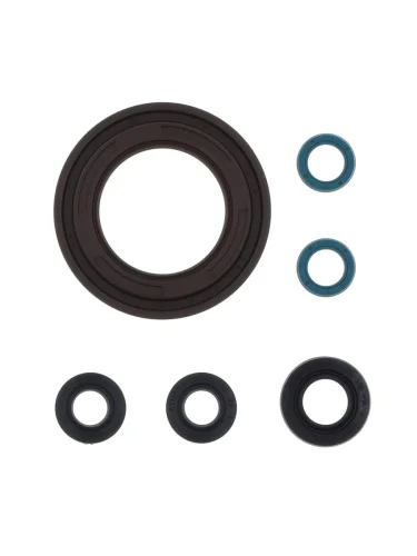 Комплект сальников двигателя ATHENA Yamaha TDM900 02-09 Athena p400485400158