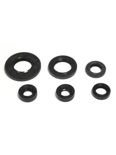 Комплект сальников двигателя ATHENA Yamaha TTR125 05-15, YBR125 05-14 Athena p400485400157