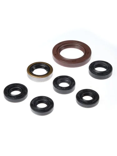 Комплект сальников двигателя BWX ARCTIC DVX400 04-08,Kawasaki KFX400 03-06,LT-Z400 03-08 (822201) BearingWorX osk70201