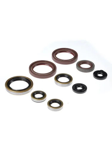 Комплект сальников двигателя BWX EXC450 09-11, EXC530 09-11 (822359) BearingWorX osk60359