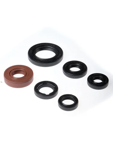 Комплект сальников двигателя BWX Honda TRX300 93-09 (822146) BearingWorX osk30146