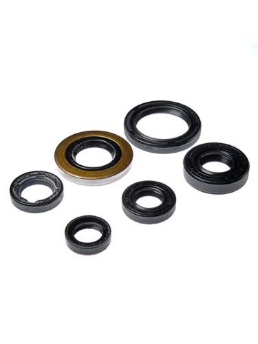 Комплект сальников двигателя BWX Honda TRX400EX 05-08, TRX400X 09-14 (822278) BearingWorX osk30278