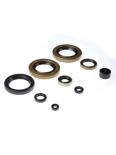 Комплект сальников двигателя BWX Kawasaki KX500 89-04 (822104) BearingWorX osk50104