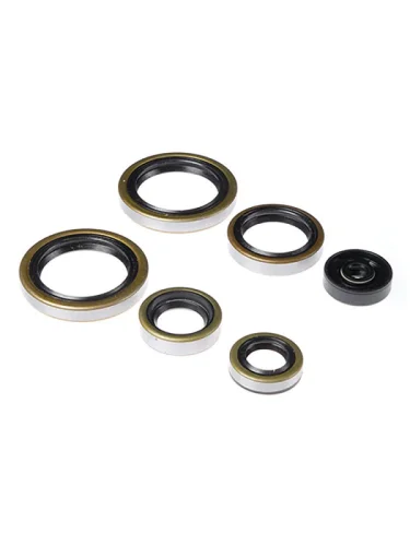 Комплект сальников двигателя BWX KTM SX125 98-15, EXC125 98-06, SX150 09-15 (822187) BearingWorX osk60187