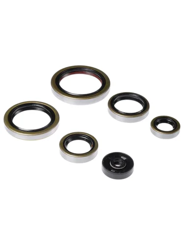 Комплект сальников двигателя BWX KTM SX250 03-16,Husqvarna TETC250 14-16,TE300 14-16 (822269) BearingWorX osk40269