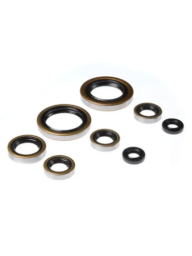 Комплект сальников двигателя BWX KTM SX450 03-06, EXC400SXMCX 98-02 (822274) BearingWorX osk60274