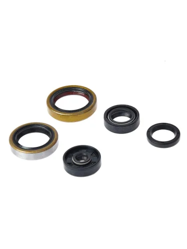 Комплект сальников двигателя BWX KTM SX50 09-22,Husqvarna TC50 18-20, GasGas MC50 20-22 (822347) BearingWorX osk60347