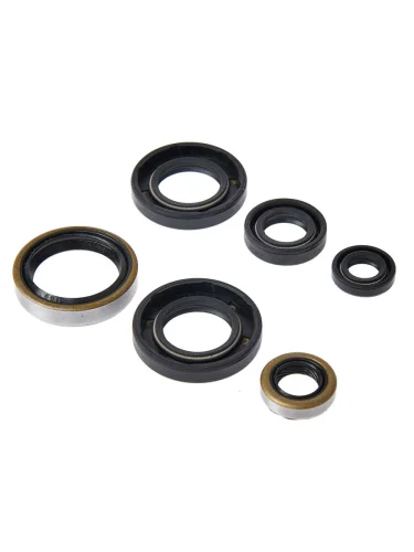 Комплект сальников двигателя BWX KTM SX65 98-08 (822185) BearingWorX osk60185