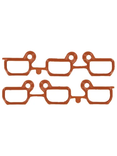 Прокладка впускного коллектора BMW  3(E46)5(E39)5(E60)X5(E53) M52B25M54B25 VICTOR REINZ 11-33074-01