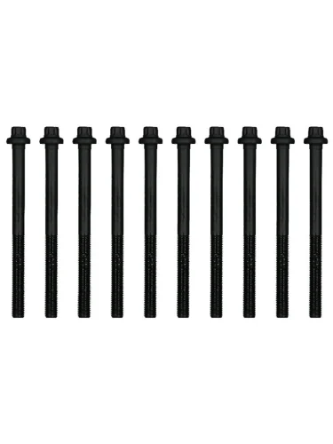 Комплект болтов ГБЦ MAZDA 2DEMIO ZY-VE VICTOR REINZ 14-32374-01