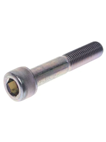 Болт HONDA Civic натяжителя цепи OE HONDA 96700-1005518