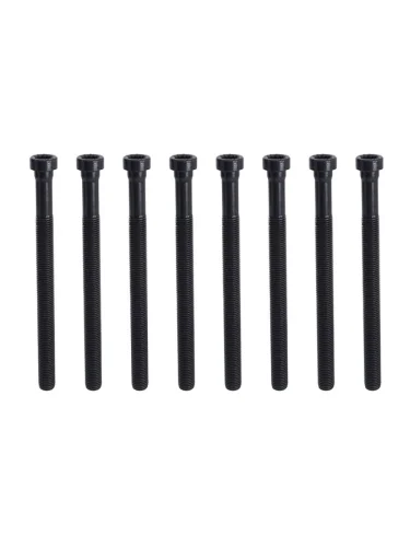 Болт ГБЦ комплект (8штук)VAG  A6A8Q7 TOUAREG BKSCATA VICTOR REINZ 14-32196-01