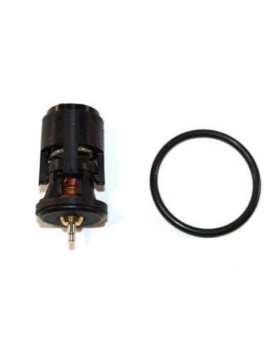 Термостат с прокладкой SKODA OCTAVIAFABIAVW CADDYPOLO 1 4-1 6 VERNET th6274.87j