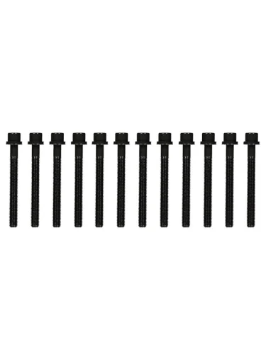 Комплект болтов  ГБЦ VAG 100A6CRAFTER  AATAAS2EA2ED VICTOR REINZ 14-32047-02