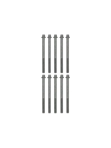 Комплект болтов ГБЦ GM AVEOLANOSNEXIAKADETT F15S3A15SMS VICTOR REINZ 14-32102-01