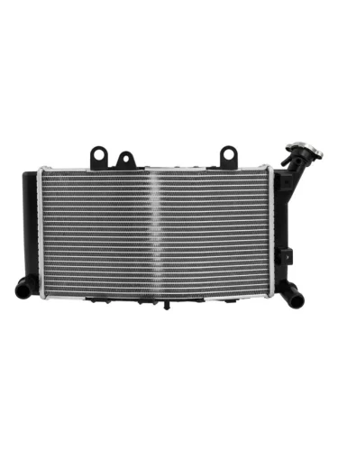 Радиатор для BMW F750GS, F850GS 19-23  пм-00032113