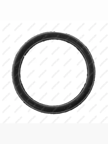 Кольцо КАМАЗ уплотнительное форсунки