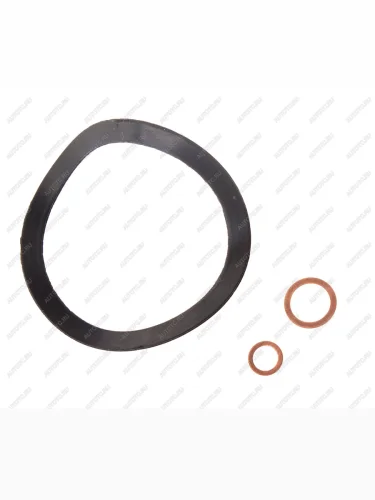 Ремкомплект ЯМЗ Ф.Г.О.Т.