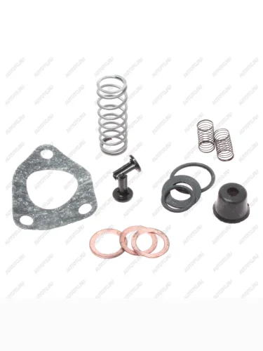 Ремкомплект ЯМЗ ТННД