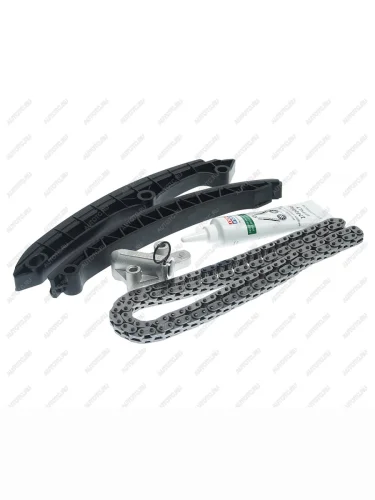 Комплект цепи ГРМ VW Polo,Passat AUDI A1,A3 INA