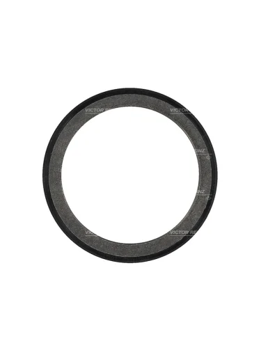 Сальник коленвала задний VAG TRANSPORTERA4A6 AXQ