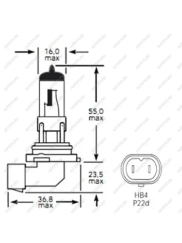 Лампа 12V HB4 51W P22d 1100лм Стандарт TESLAFT (Россия)