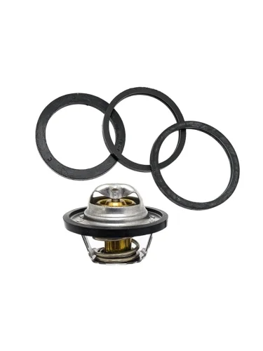 Термостат CHEVROLET AVEO T200250LACHETTI J200LANOS T100