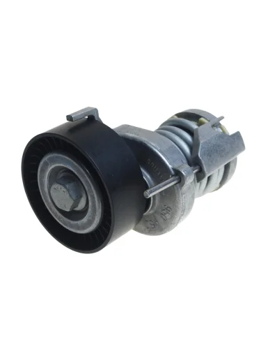 Ролик приводного ремня VW Bora,Golf,Caddy,Polo AUDI A2 натяжителя (с демпфером) INA