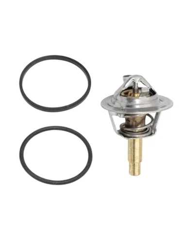 Термостат с прокладкой MERCEDES SPRINTER TT9C CLASS M271