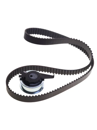 Комплект ГРМ VW T6 (145х25) (ремень,ролик) не комплект GATES