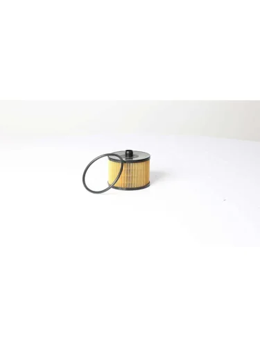 Фильтр топливный FORD Focus PEUGEOT 307,308,407 (TDI) BSG