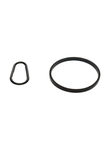 Кольцо уплотнительное FORD Transit Connect (13-) насоса вакуумного комплект (2 шт.) BSG