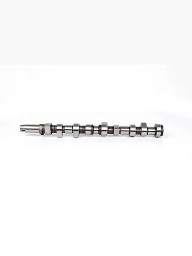 Вал распределительный FORD Escort (88-) BSG