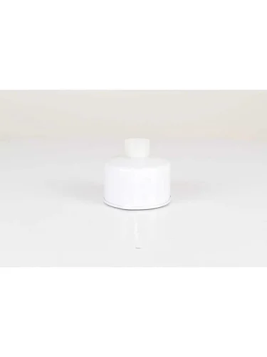 Фильтр топливный LAND ROVER Discovery (04-) BSG