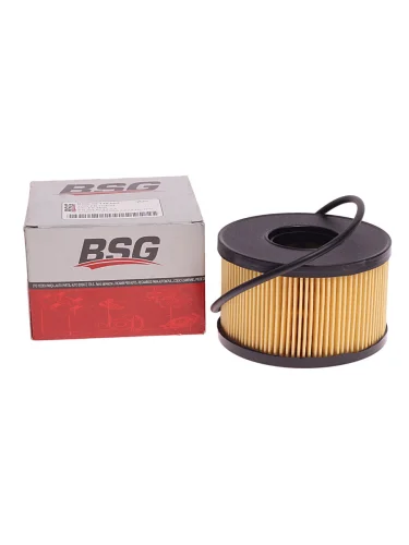 Фильтр масляный FORD Transit (00-06) BSG