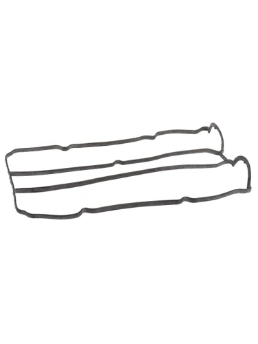 Прокладка крышки клапанной FORD Focus 2 (04-11) BSG