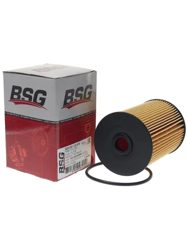 Фильтр топливный VW Golf 5,Jetta AUDI A3 SKODA Octavia,Yeti (03-) (1.61.92.0 TDI) BSG