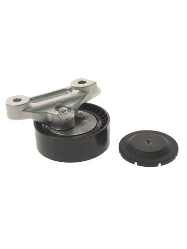 Ролик натяжной VW Polo SKODA Fabia (14-) ремня приводного NTN-SNR